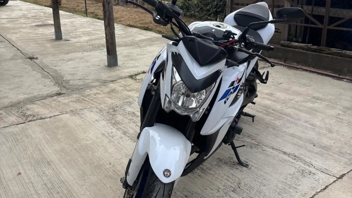 Suzuki GSX-S1000 ABS (2017 - 20)  (4)