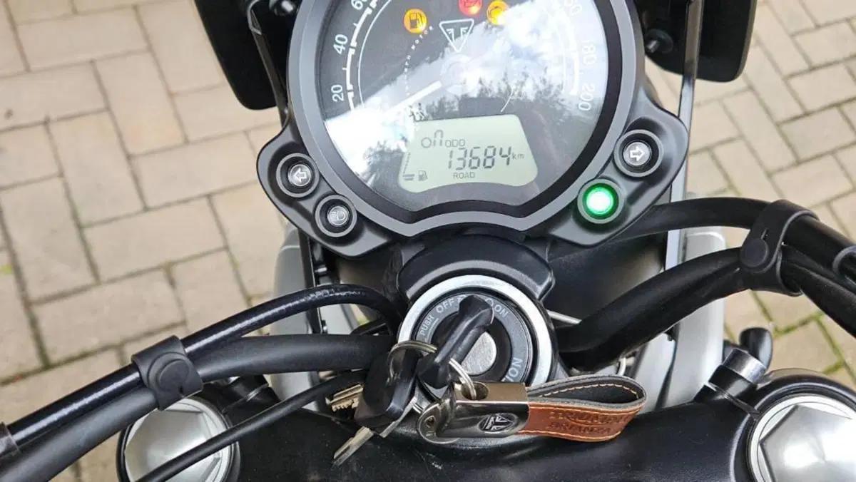 Triumph Street Scrambler 900 (2021 - 22)  (5)