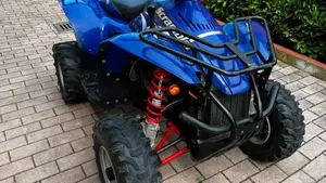 Polaris Scrambler 500 E 4x4 (2007 - 11)  (9)