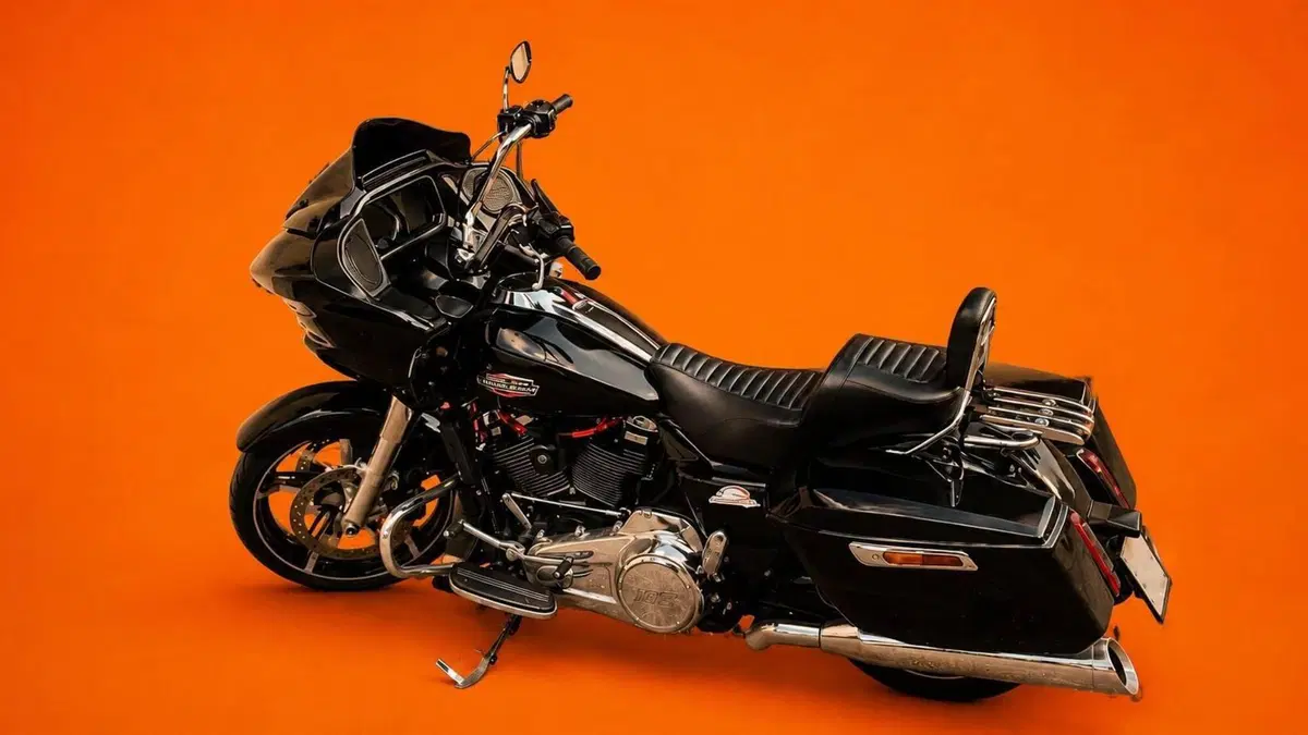 Harley-Davidson Road Glide (2024 - 26)  (2)