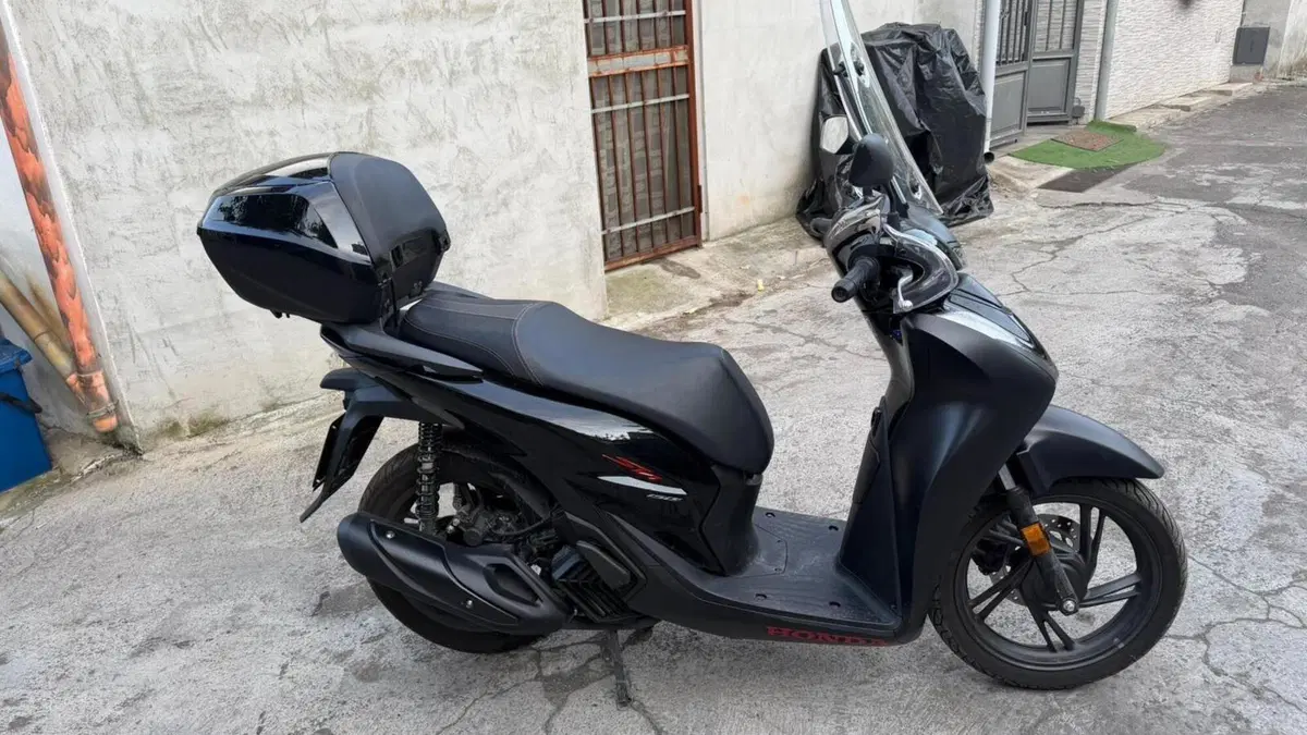 Honda SH 150i (2024 - 25)  (3)