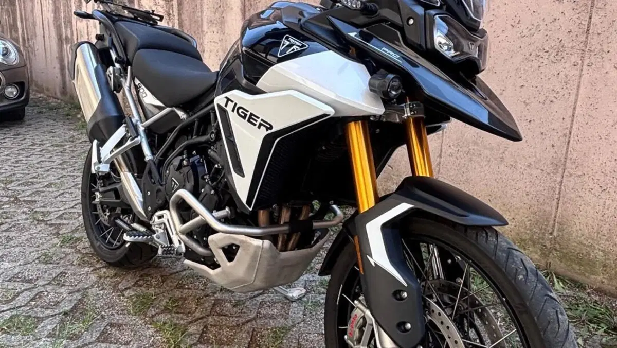 Triumph Tiger 900 Rally Pro (2024 - 26)  (6)