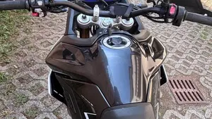 Triumph Tiger 900 Rally Pro (2024 - 26)  (8)