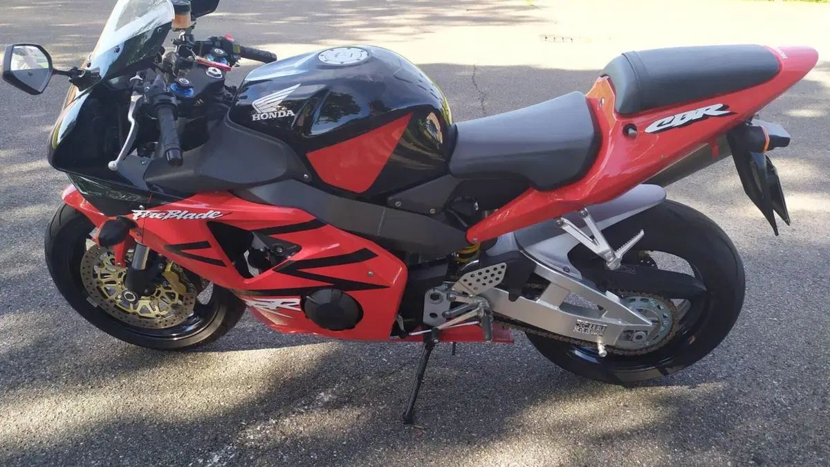 Honda CBR 900 RR Fireblade (2002 - 04)  (6)