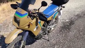 Kawasaki KLR 650 (1988 - 00)  (2)