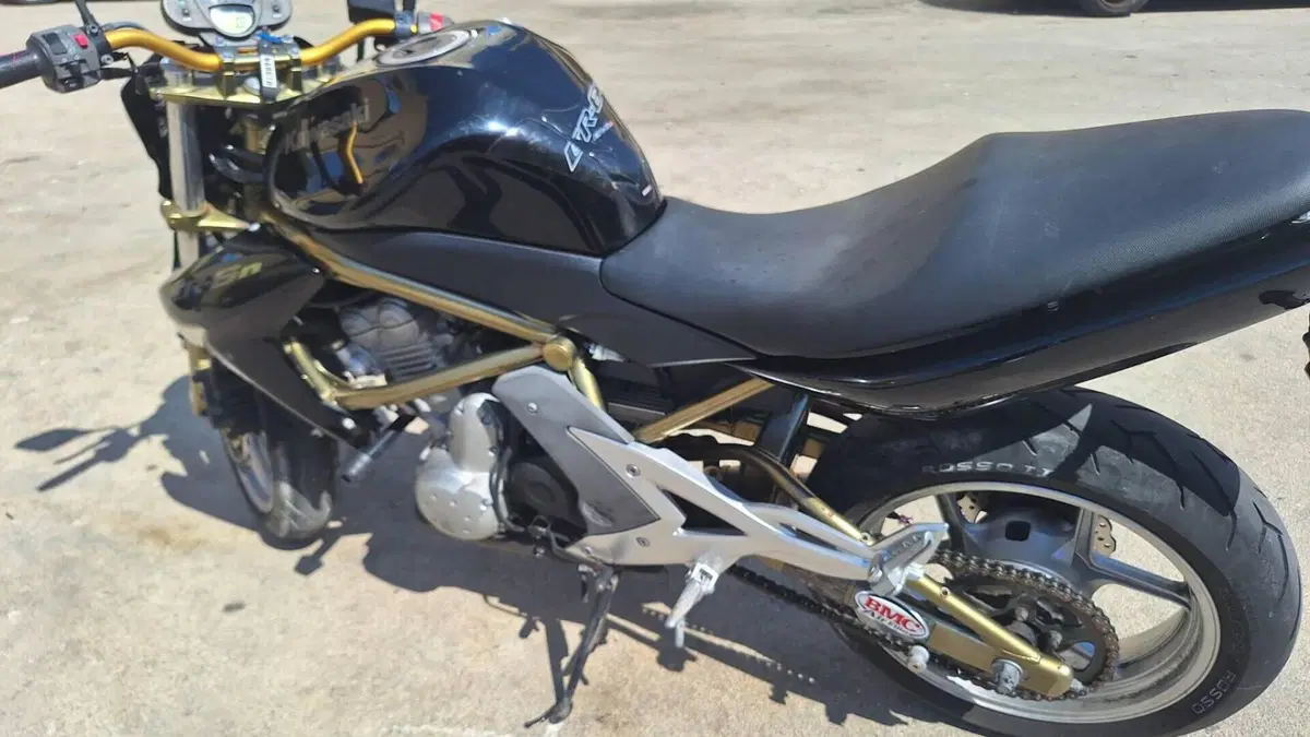 Kawasaki ER-6N (2005 - 08)  (2)
