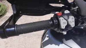 Ducati Multistrada 1200 Enduro (2016 - 18)  (8)