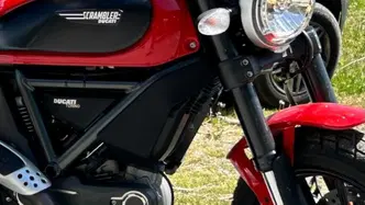 Ducati Scrambler 800 Icon (2015 - 16) usata