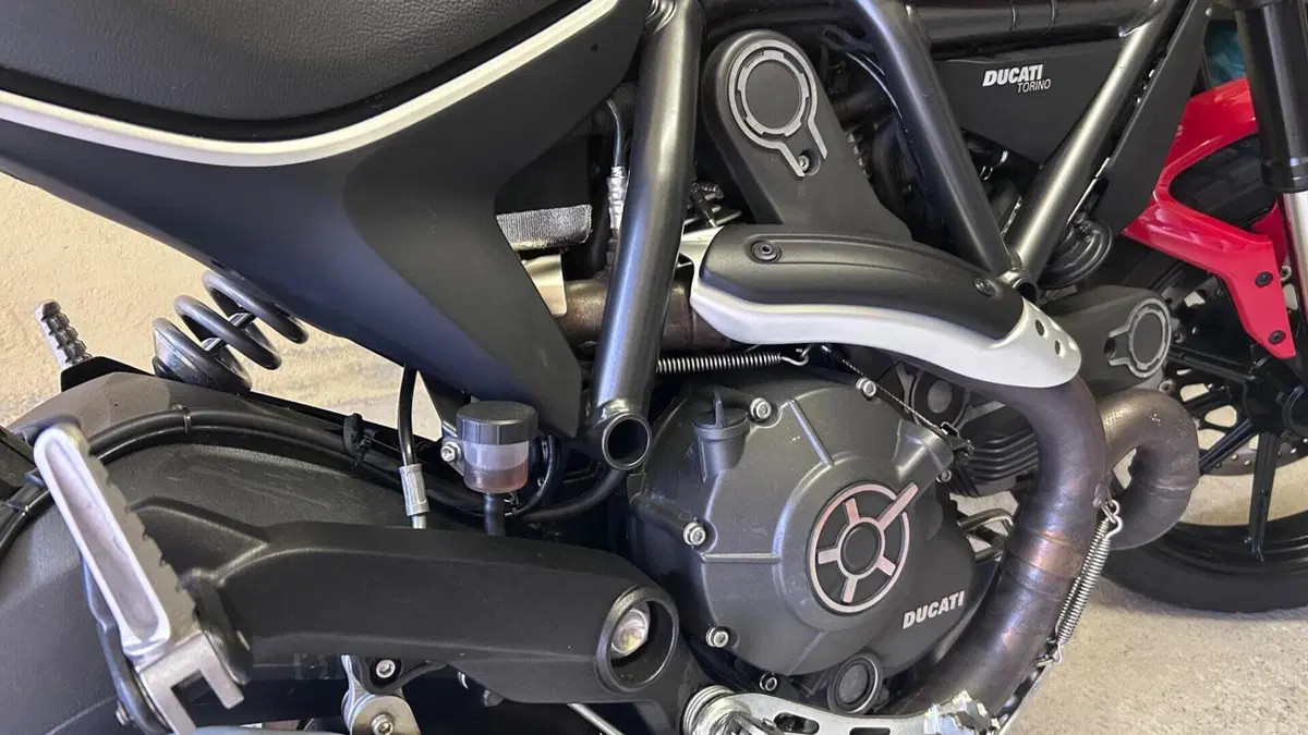 Ducati Scrambler 800 Icon (2015 - 16)  (6)