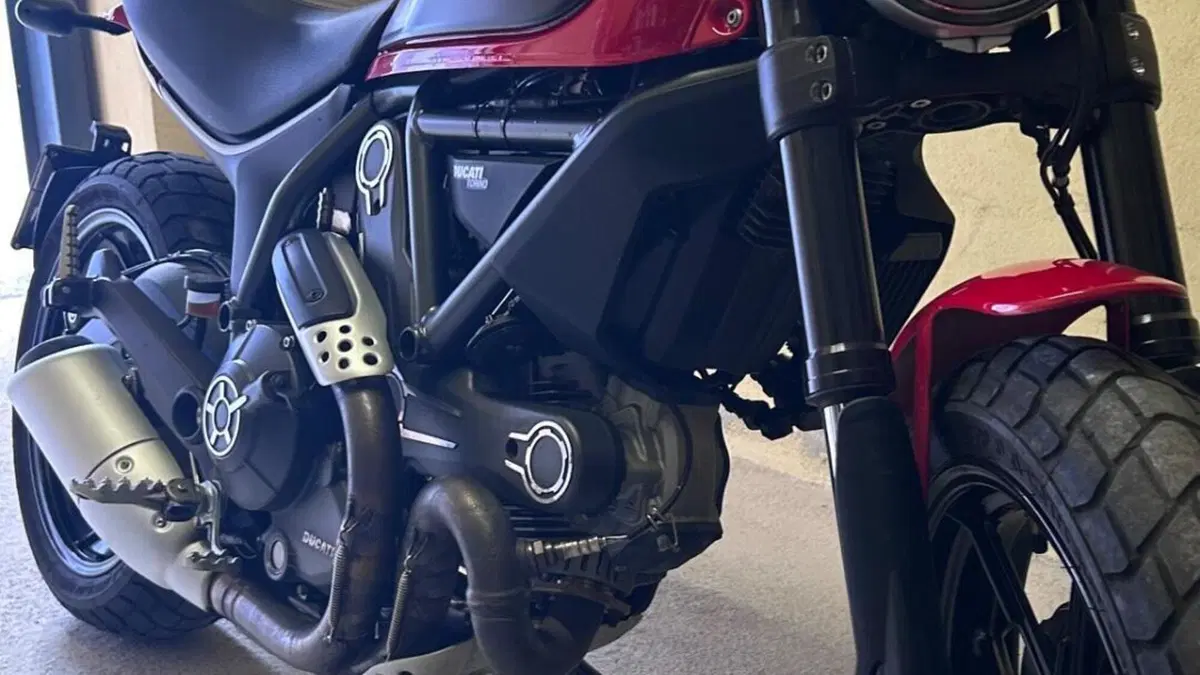 Ducati Scrambler 800 Icon (2015 - 16)  (7)