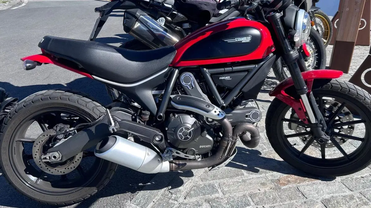 Ducati Scrambler 800 Icon (2015 - 16)  (8)
