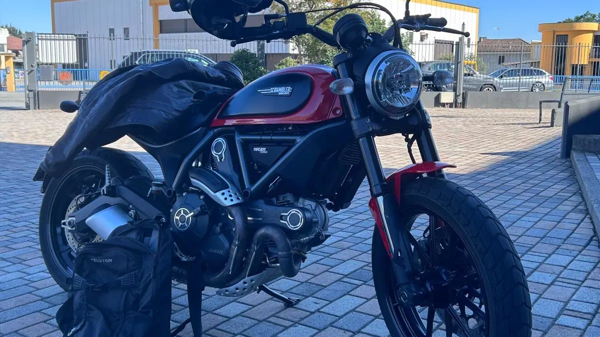 Ducati Scrambler 800 Icon (2015 - 16)  (10)