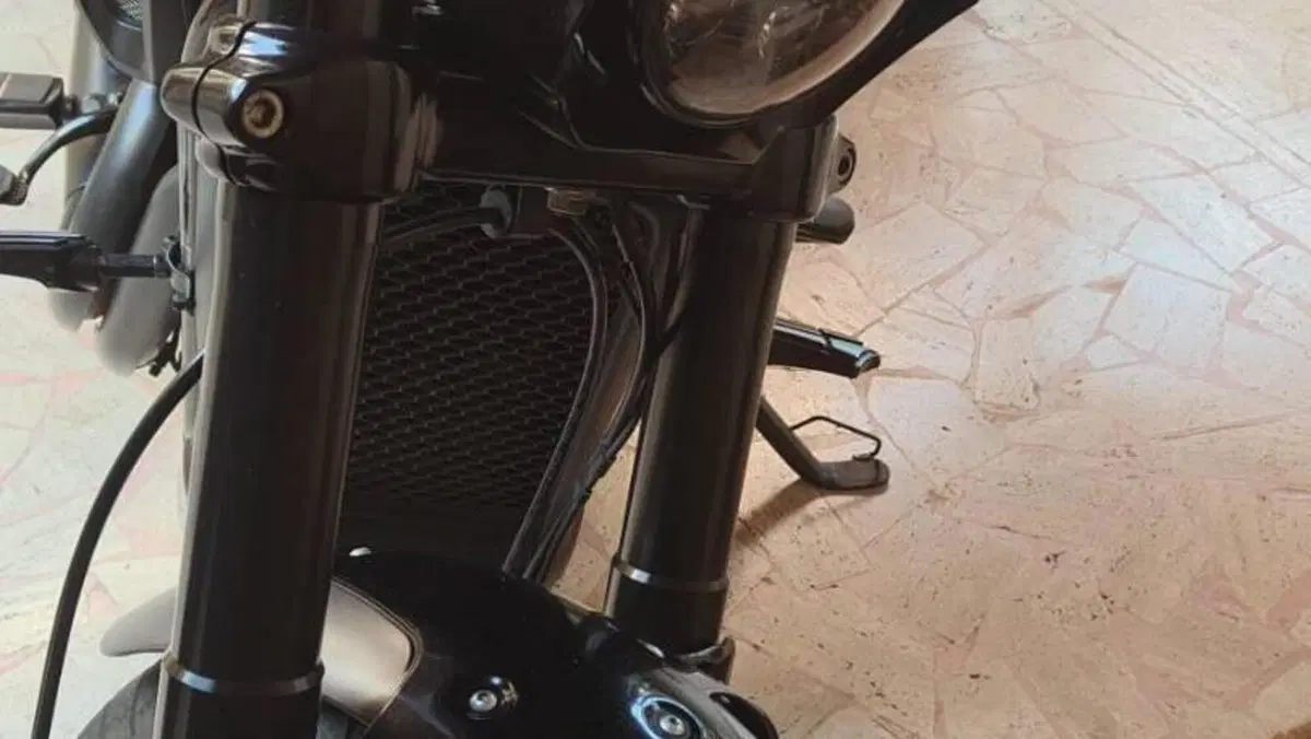 Harley-Davidson 750 Street Rod (2017 - 20) - XG 750  (5)
