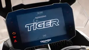 Triumph Tiger 900 Rally Pro (2020 - 23)  (10)