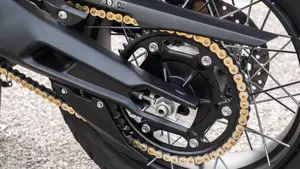Triumph Tiger 900 Rally Pro (2020 - 23)  (16)