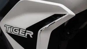 Triumph Tiger 900 Rally Pro (2020 - 23)  (17)