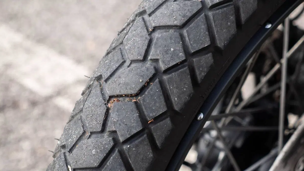 Triumph Tiger 900 Rally Pro (2020 - 23)  (19)