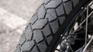 Triumph Tiger 900 Rally Pro (2020 - 23)  (19)