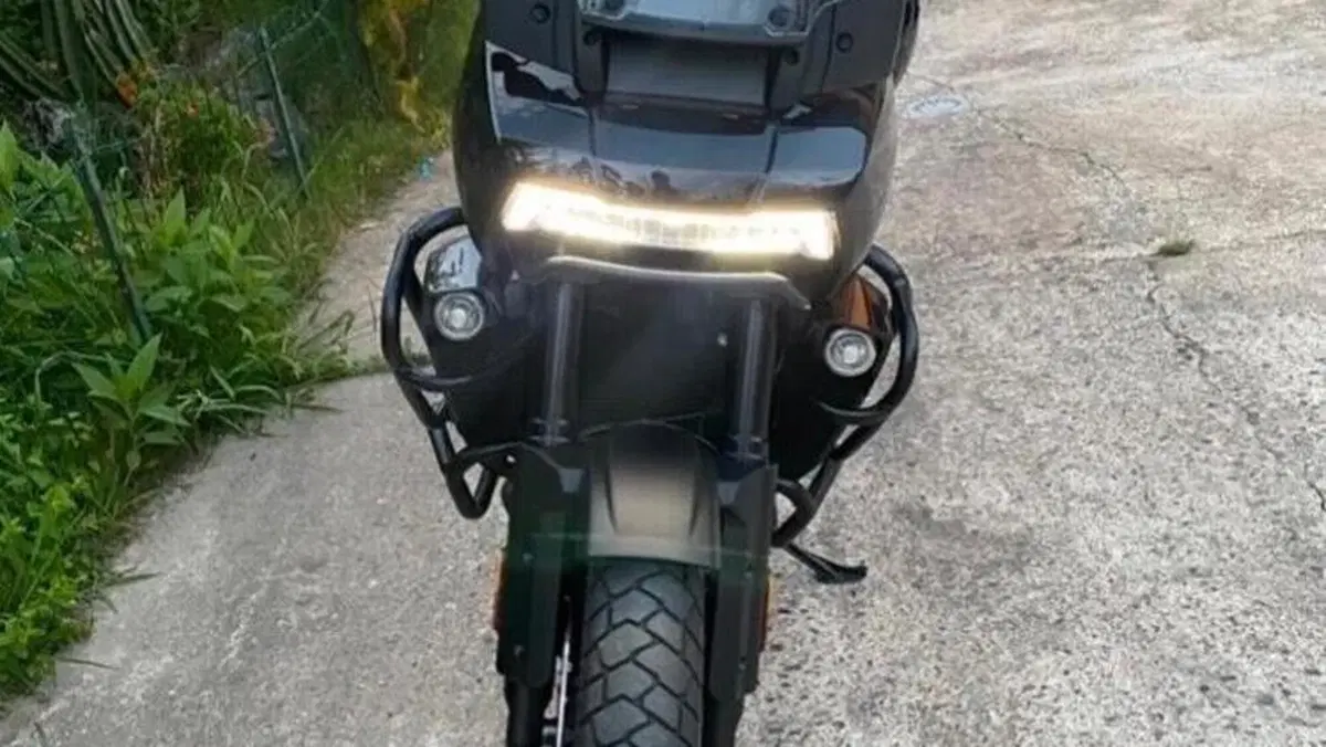 Harley-Davidson Pan America 1250 (2020 - 25)  (4)