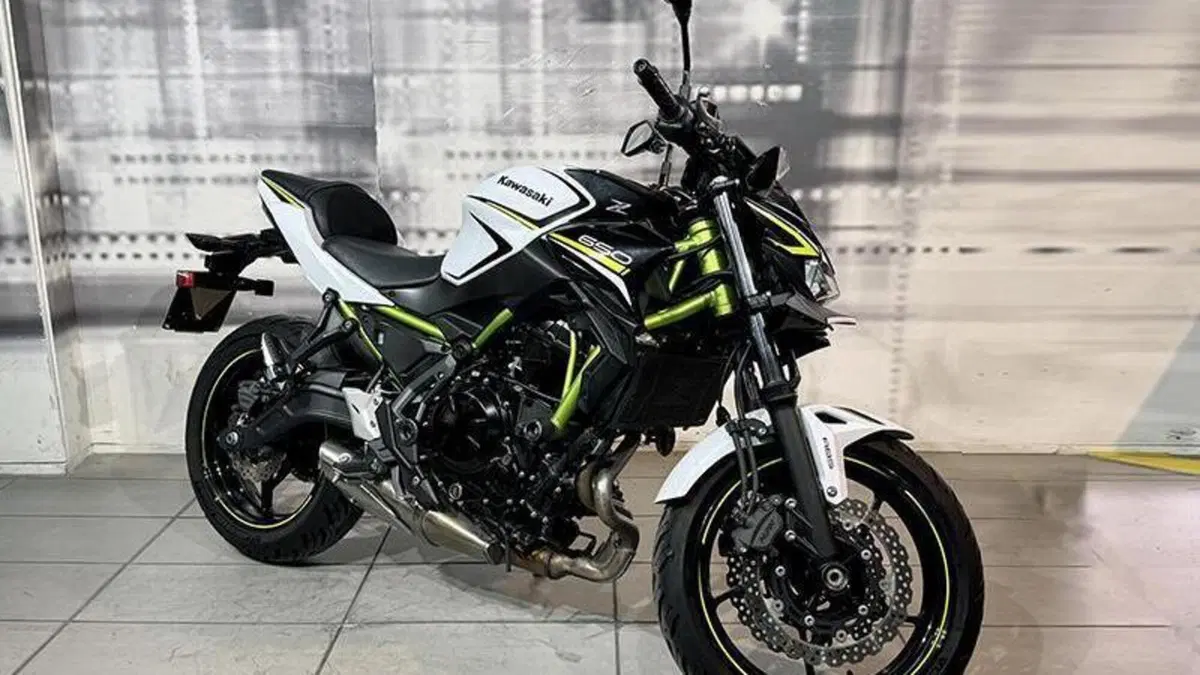 Kawasaki Z 650 (2020) 