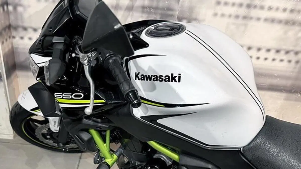 Kawasaki Z 650 (2020)  (4)