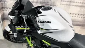 Kawasaki Z 650 (2020)  (4)