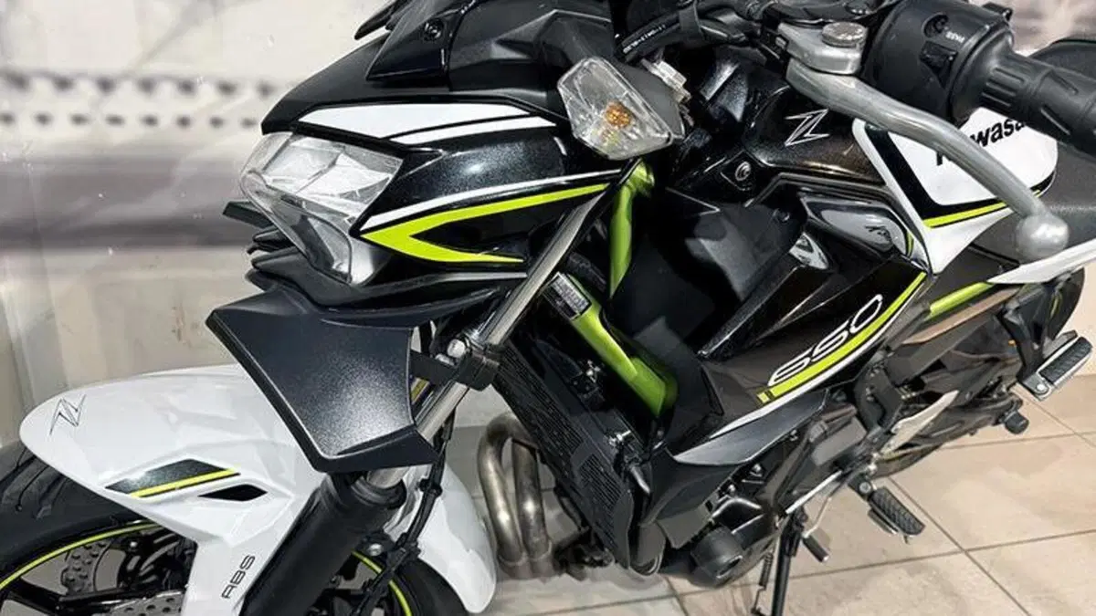 Kawasaki Z 650 (2020)  (5)