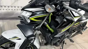 Kawasaki Z 650 (2020)  (5)
