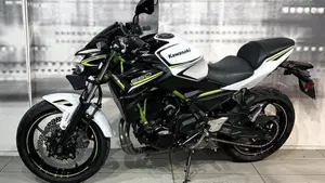 Kawasaki Z 650 (2020)  (6)
