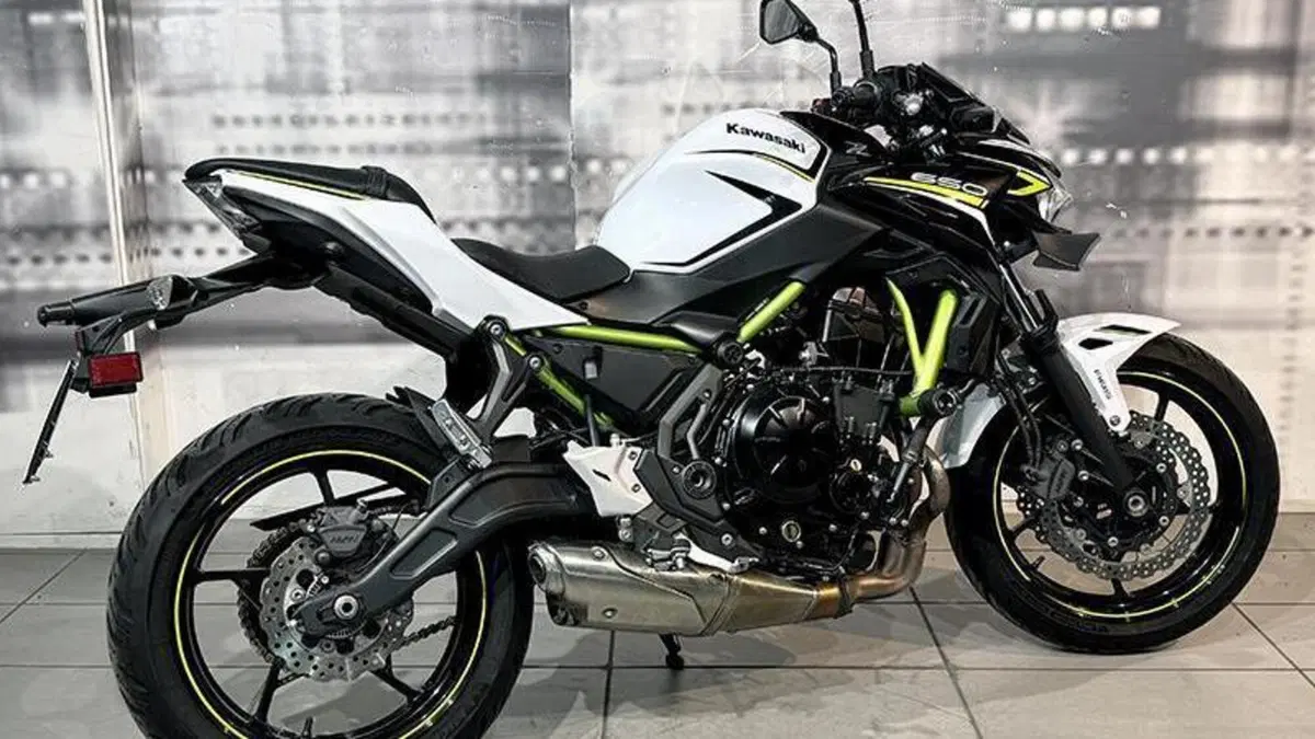 Kawasaki Z 650 (2020)  (7)