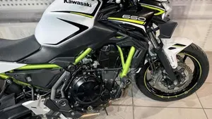 Kawasaki Z 650 (2020)  (8)