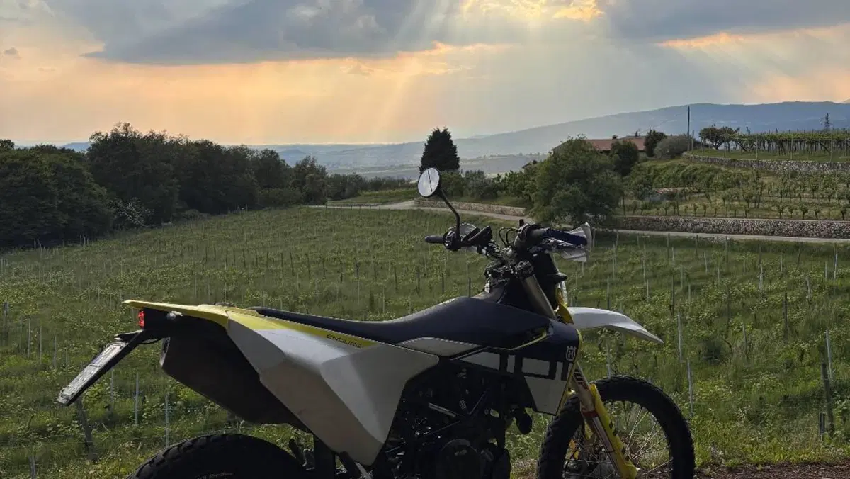 Husqvarna 701 Enduro (2023 - 25)  (2)
