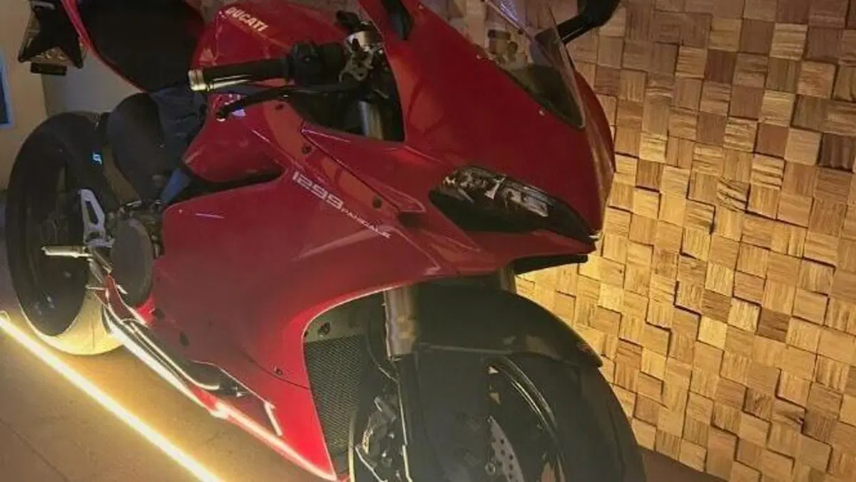 Ducati 1299 Panigale (2015 - 17)  (2)
