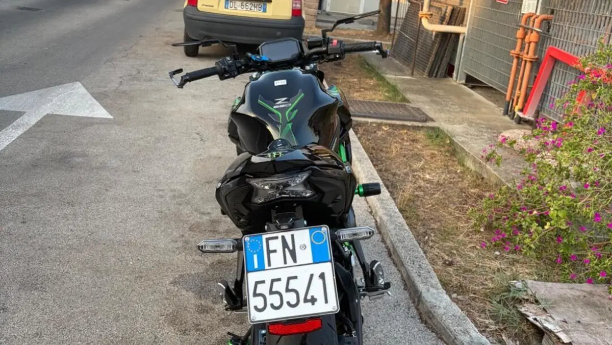 Kawasaki Z 650 (2025 - 26)  (4)