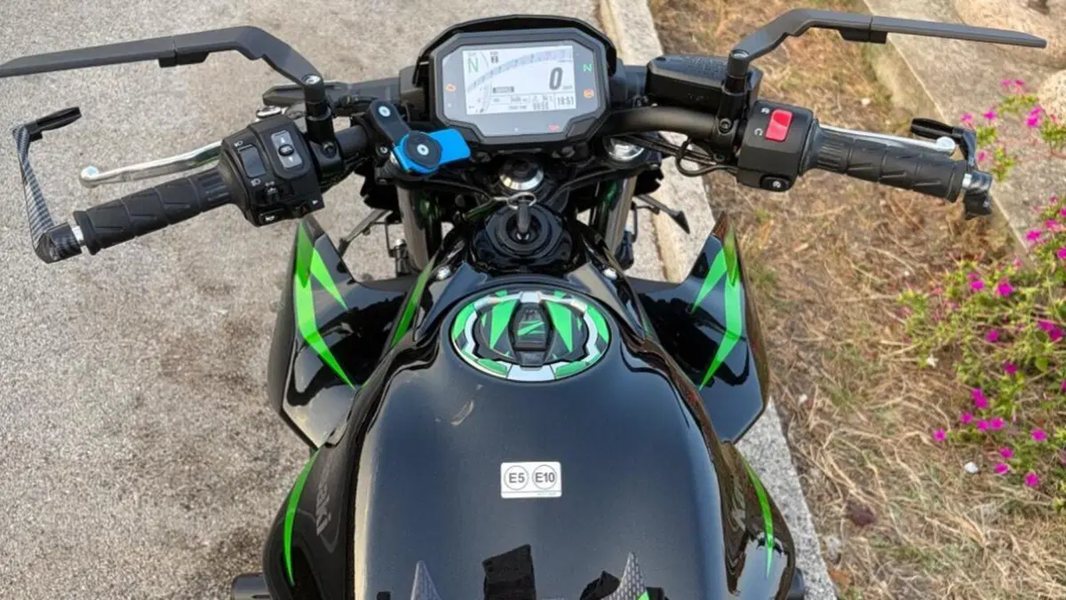 Kawasaki Z 650 (2025 - 26)  (7)