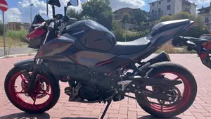 Kawasaki Z 500 SE (2024 - 26)  (3)