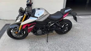 Suzuki GSX-S1000 (2021 - 25)  (3)