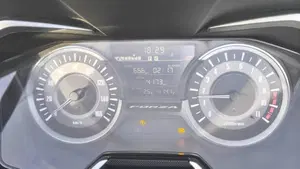 Honda Forza 300 ABS (2018 - 20)  (7)