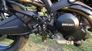 Ducati Monster 696 Plus (2007 - 14)  (9)