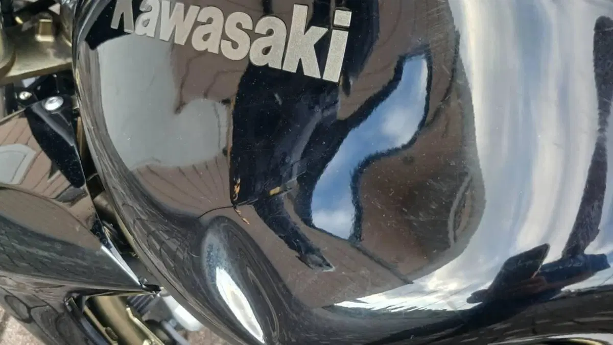 Kawasaki ER-6N (2006 - 09)  (2)