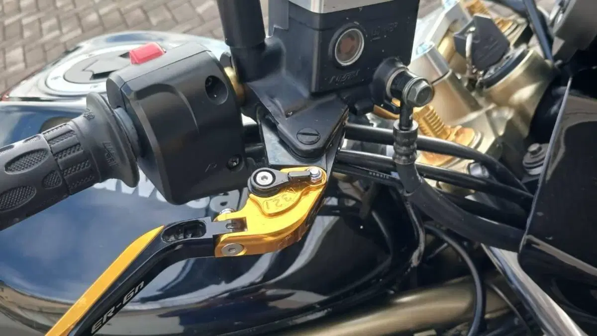 Kawasaki ER-6N (2006 - 09)  (6)