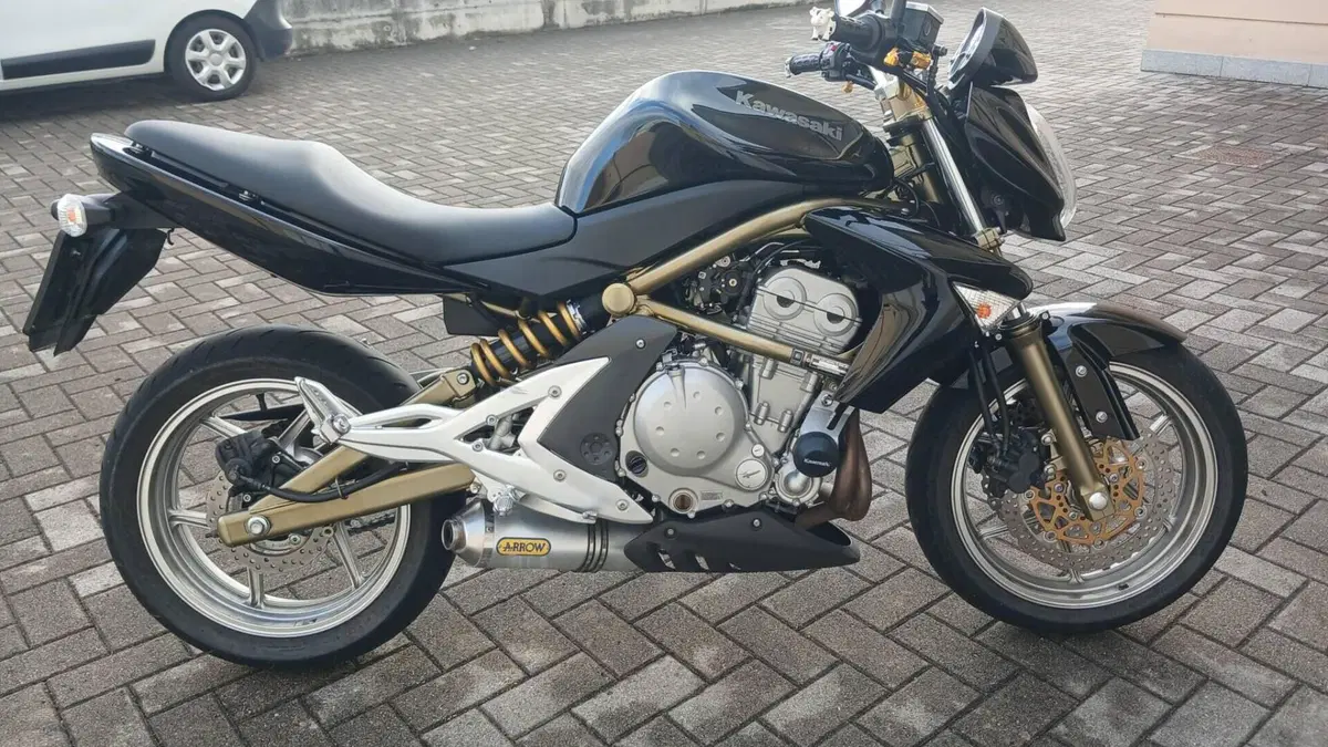 Kawasaki ER-6N (2006 - 09)  (7)