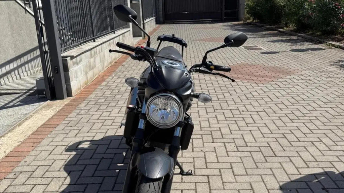 Suzuki SV650 (2021 - 24)  (2)