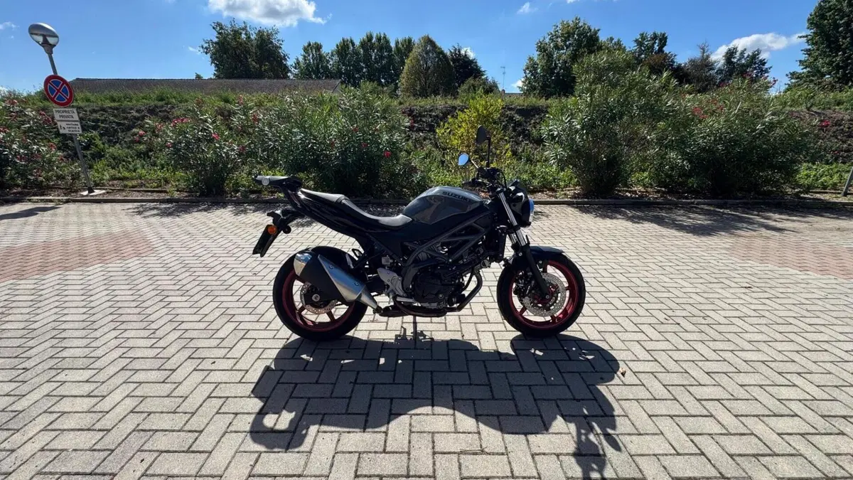 Suzuki SV650 (2021 - 24)  (3)