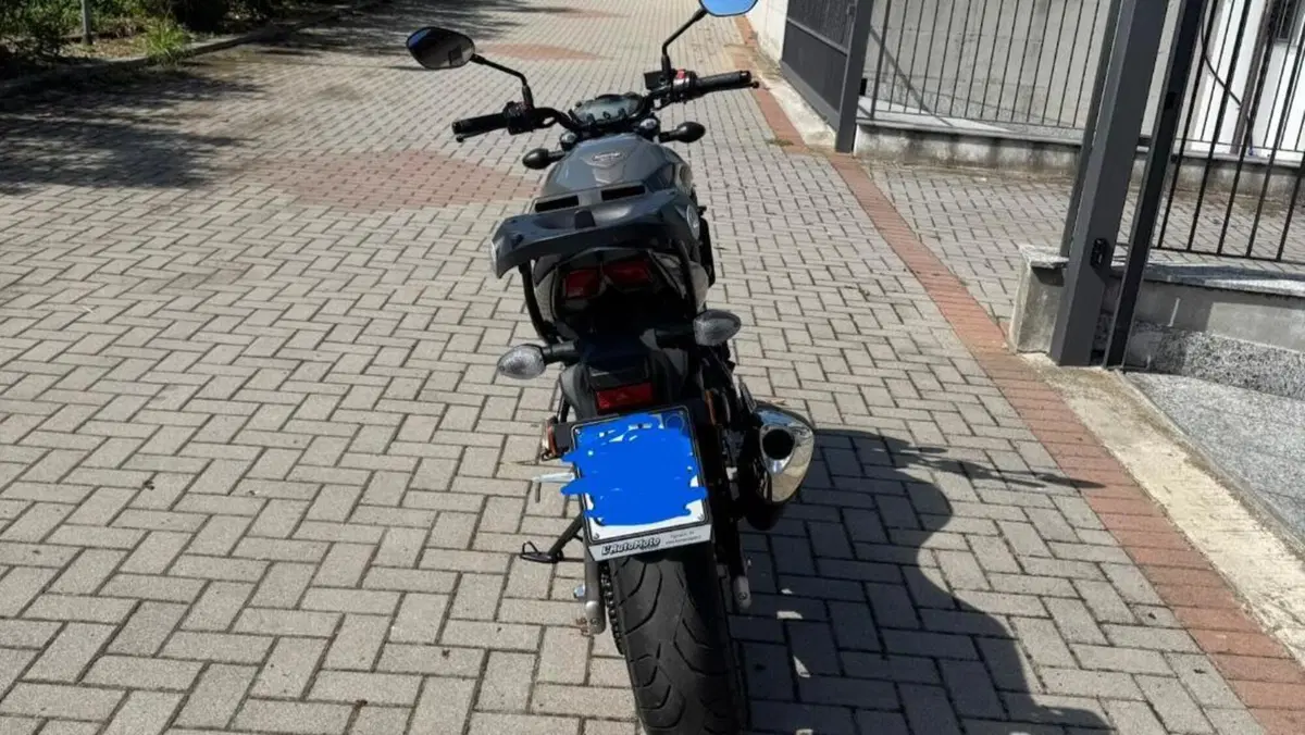 Suzuki SV650 (2021 - 24)  (5)
