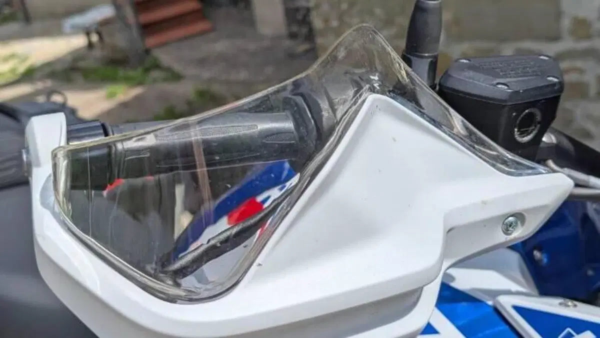 Bmw R 1250 GS (2019 - 20)  (6)