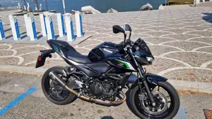 Kawasaki Z 500 (2024 - 26) 