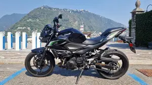 Kawasaki Z 500 (2024 - 26)  (2)