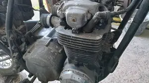Honda   (5)