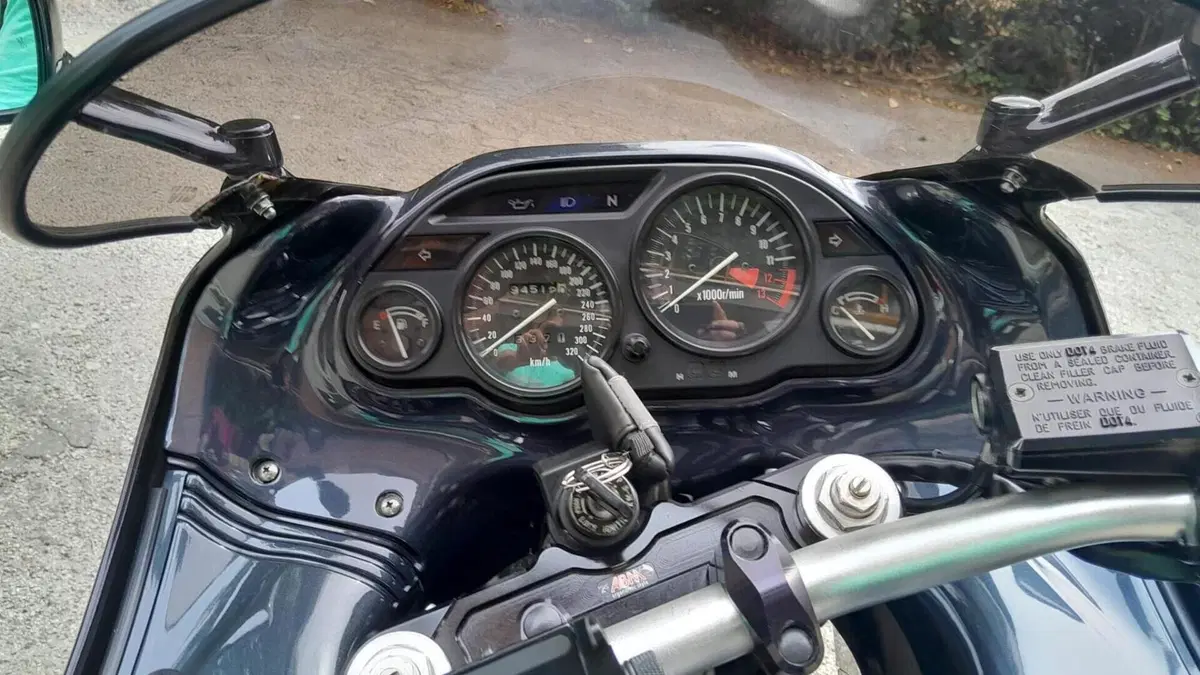 Kawasaki ZZR 1100 (1989 - 01)  (6)